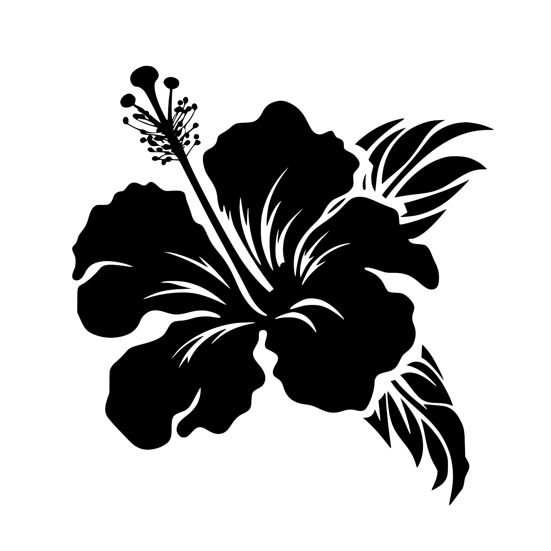 Hibiscus flower silhouette
