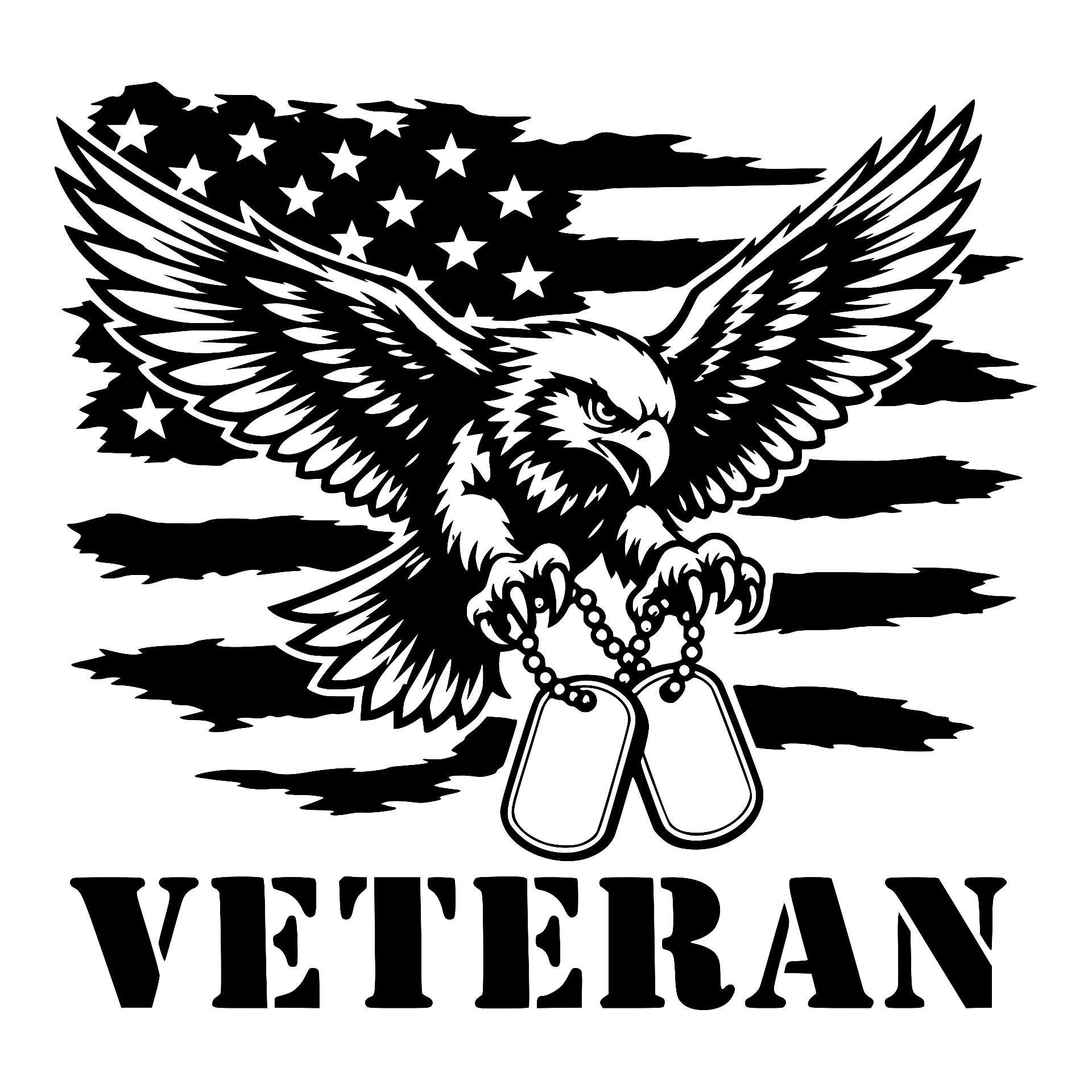 Eagle with dog tags over distressed flag, Veteran