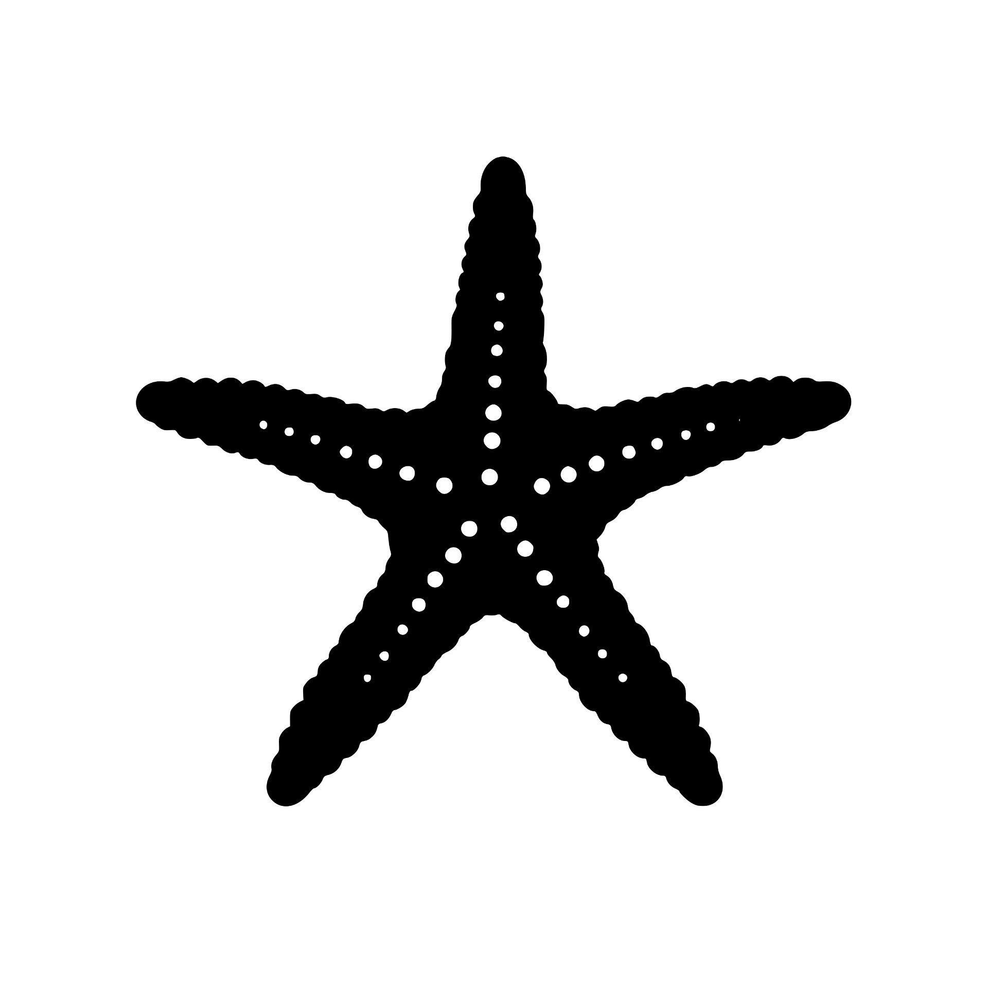 Detailed starfish silhouette