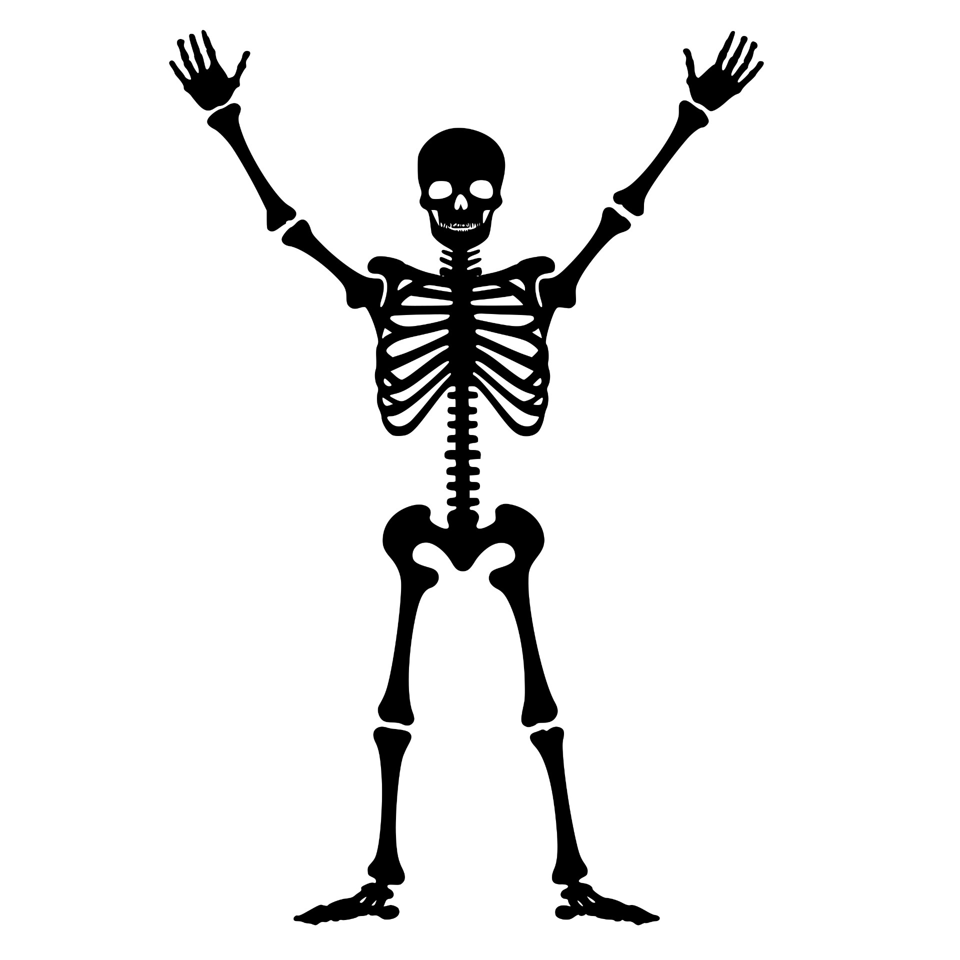 Skeleton standing with arms raised