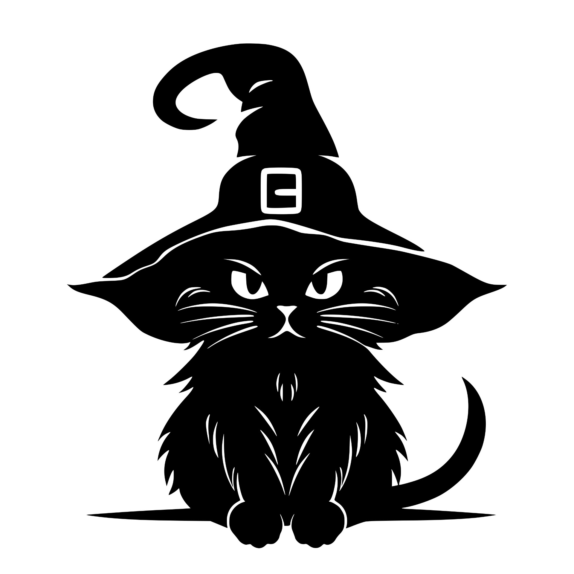Fluffy black cat in a wide witch hat