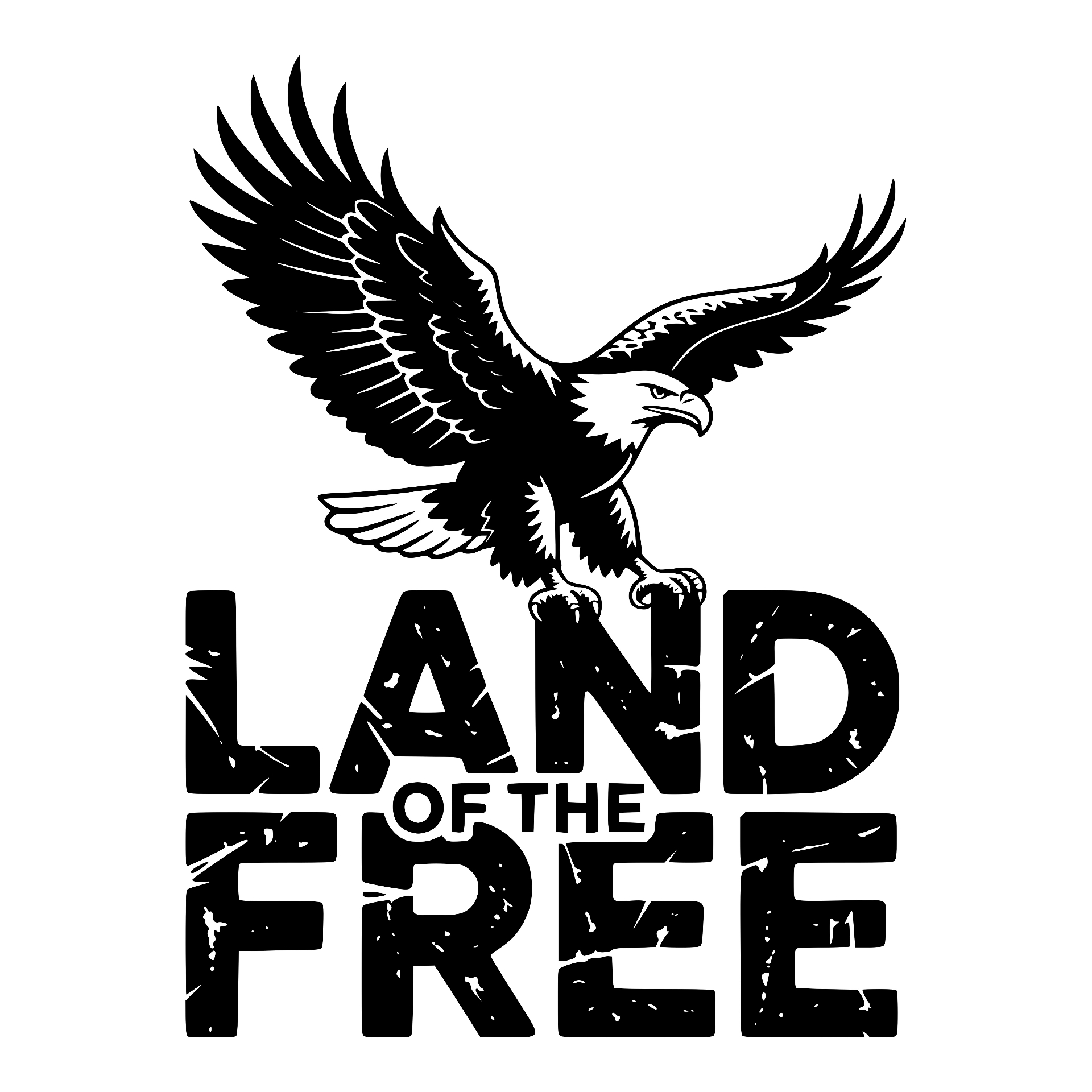 Soaring eagle, Land of the Free