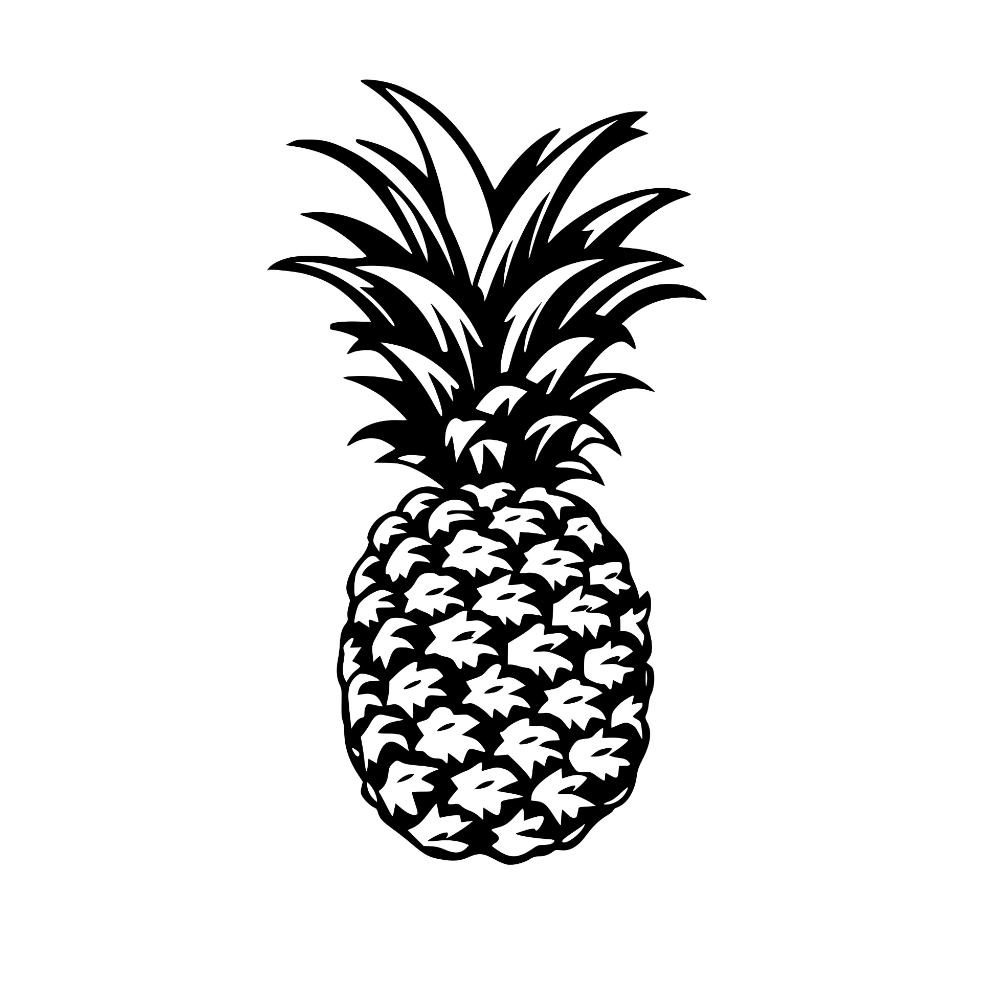 Pineapple silhouette