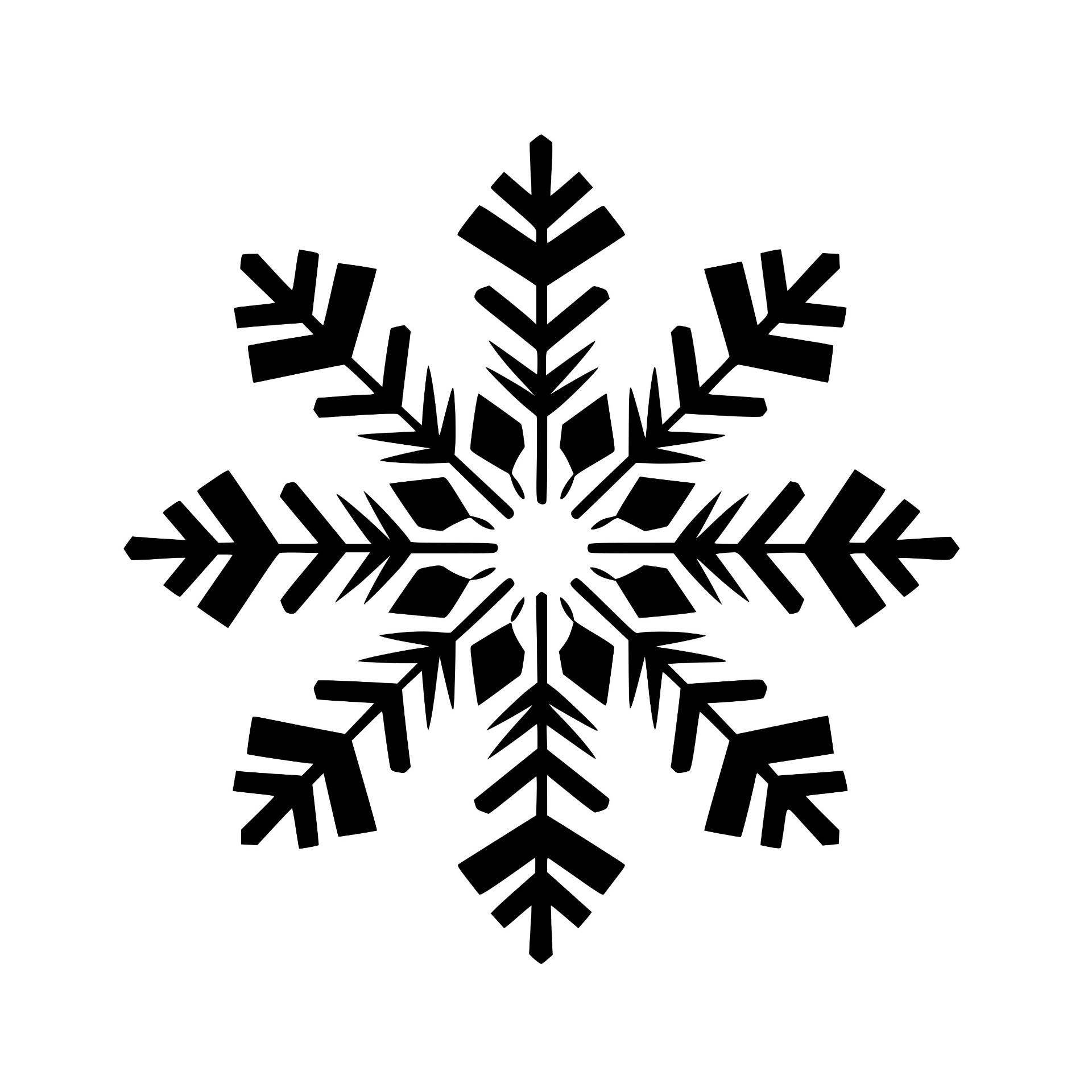Intricate detailed snowflake design