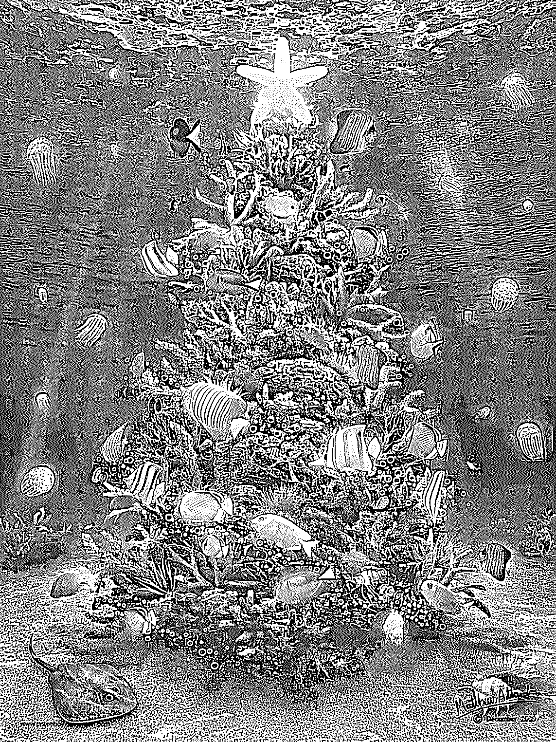 Line-art sea life Christmas tree of coral and shells with a starfish topper