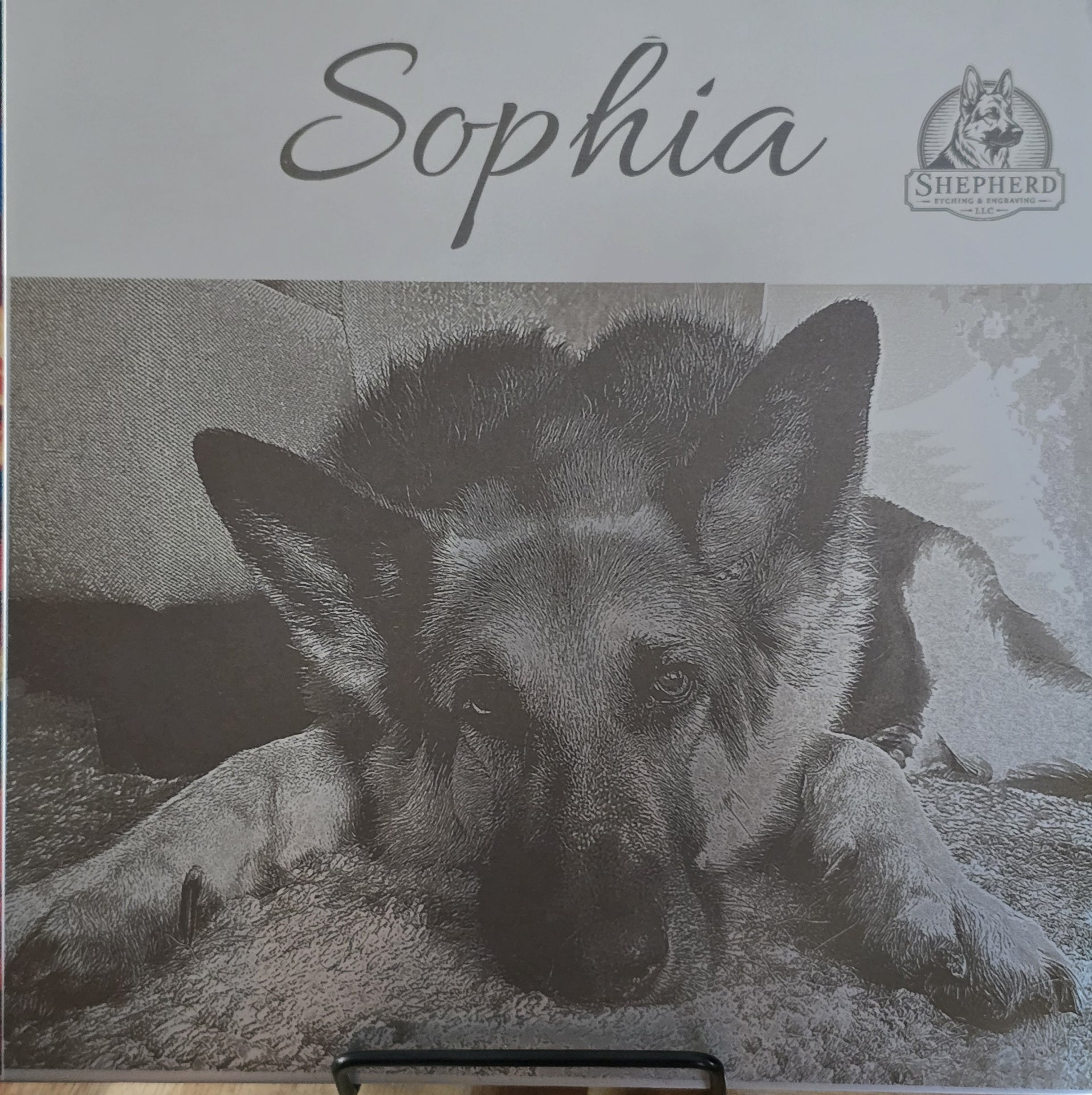 Pet portrait etched on 304 stainless steel plate